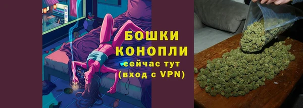 сатива Краснослободск