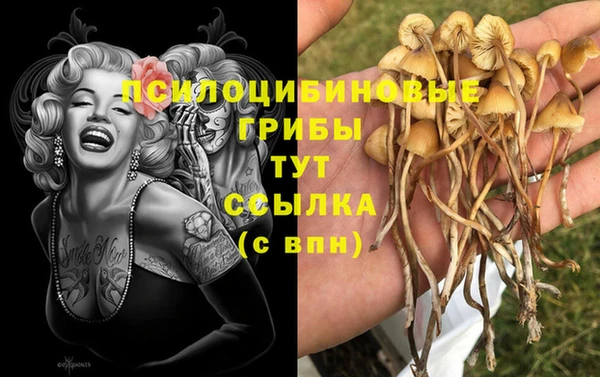 сатива Краснослободск