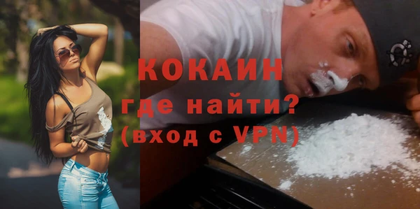 сатива Краснослободск