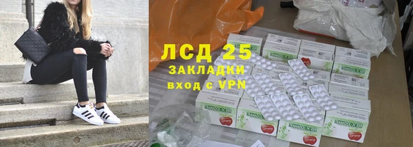 сатива Краснослободск