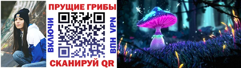 Галлюциногенные грибы Cubensis  Купить  Верхнеуральск 